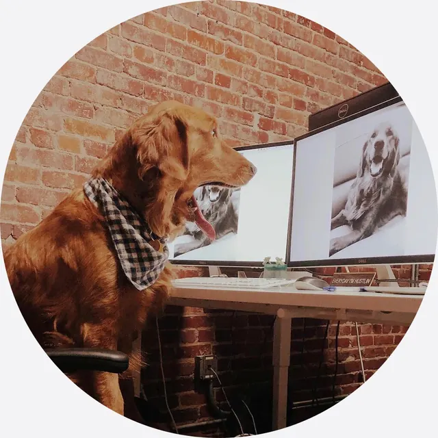Headshot of Winston the Office Pup, Financial Operations Mascot at LUCA.